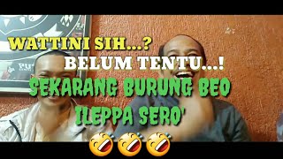 cerita Bugis lucu || lanjutan wattini sih ...🤣🤣