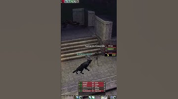 Trick Jumping in Eden Daoc