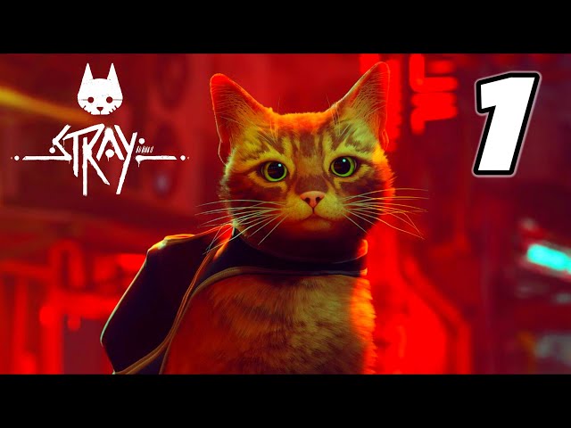 Stray Is a Cat's Perspective on a Dog's Life, Bringing Hope to Cyberpunk