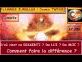 Flammes jumelles   comment identifier les ressentis nergtiques entre jumeaux     n305  