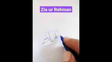 Zia ur Rehman Name Signature Request done