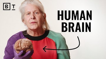 Expand your perception. Change your life. | Dr. Jill Bolte Taylor