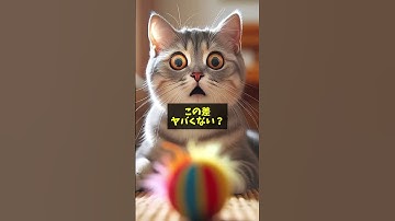 🔥スマホで映画レベル!? ChatGPTとSora2で映像まで作れる時代が来た…！