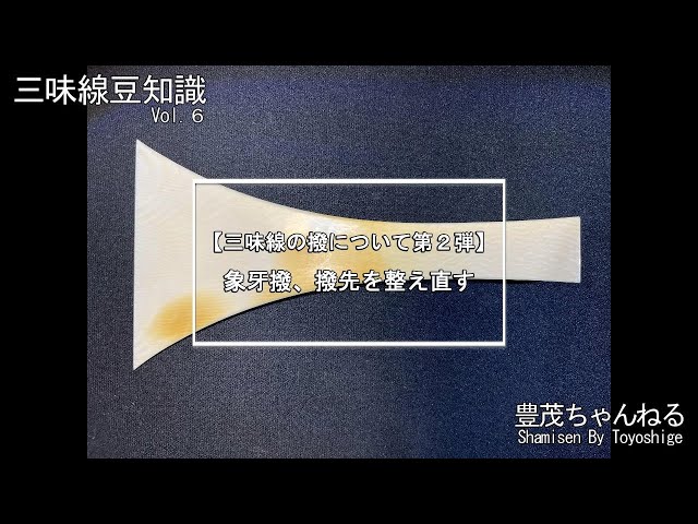 象バチ　状態良し S00501001-300x300.jpg