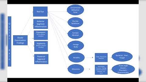 Concept maps: Approach to "A Patient with ocular pain”