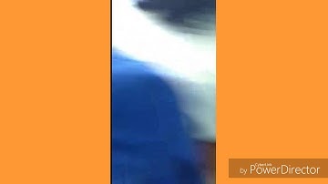 MY NEW PC!! | Azulle Quantum Byte