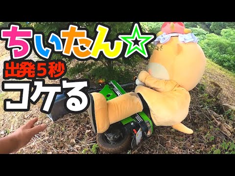 more-cats もあねこ ハイロ あいす ソフビ どんぐりひろたん