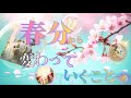 【スピリチュアルリーディング】本来のあなたに戻るためのスタート✨自己否定からの脱出💖あなただからできるんです