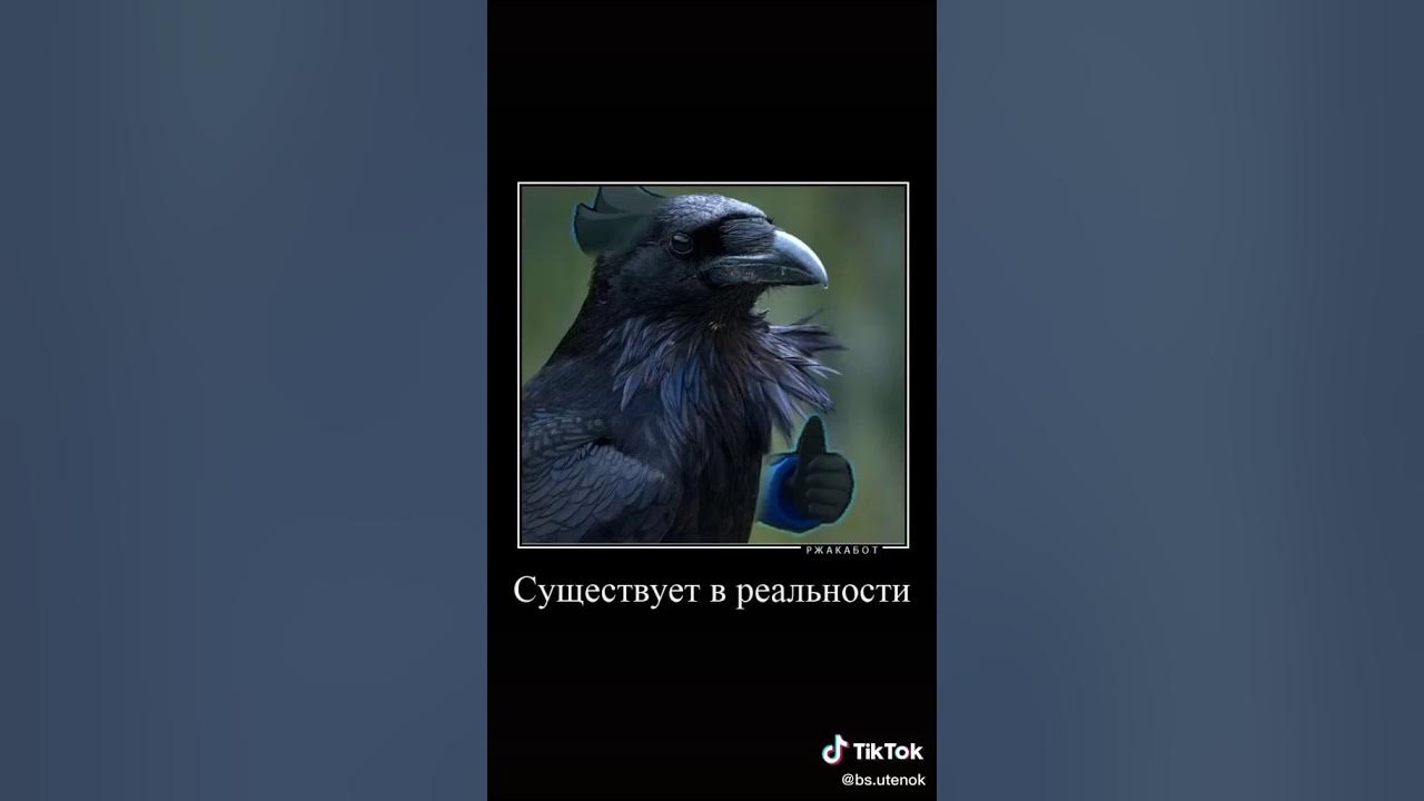 Загадка с вороной. Загадка с вороной
