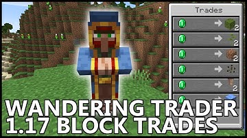 How To Get 1.17 BLOCKS From WANDERING TRADERS