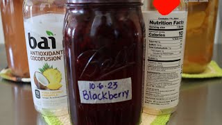 Start to Finish How to Make Fermented Blackberry Probiotic Drink at Home
