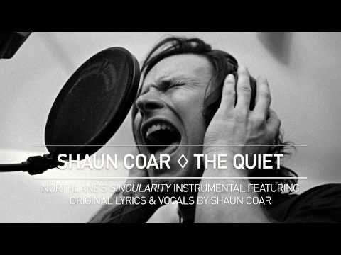 Shaun Coar - The Quiet (Northlane 'Singularity' Cover)