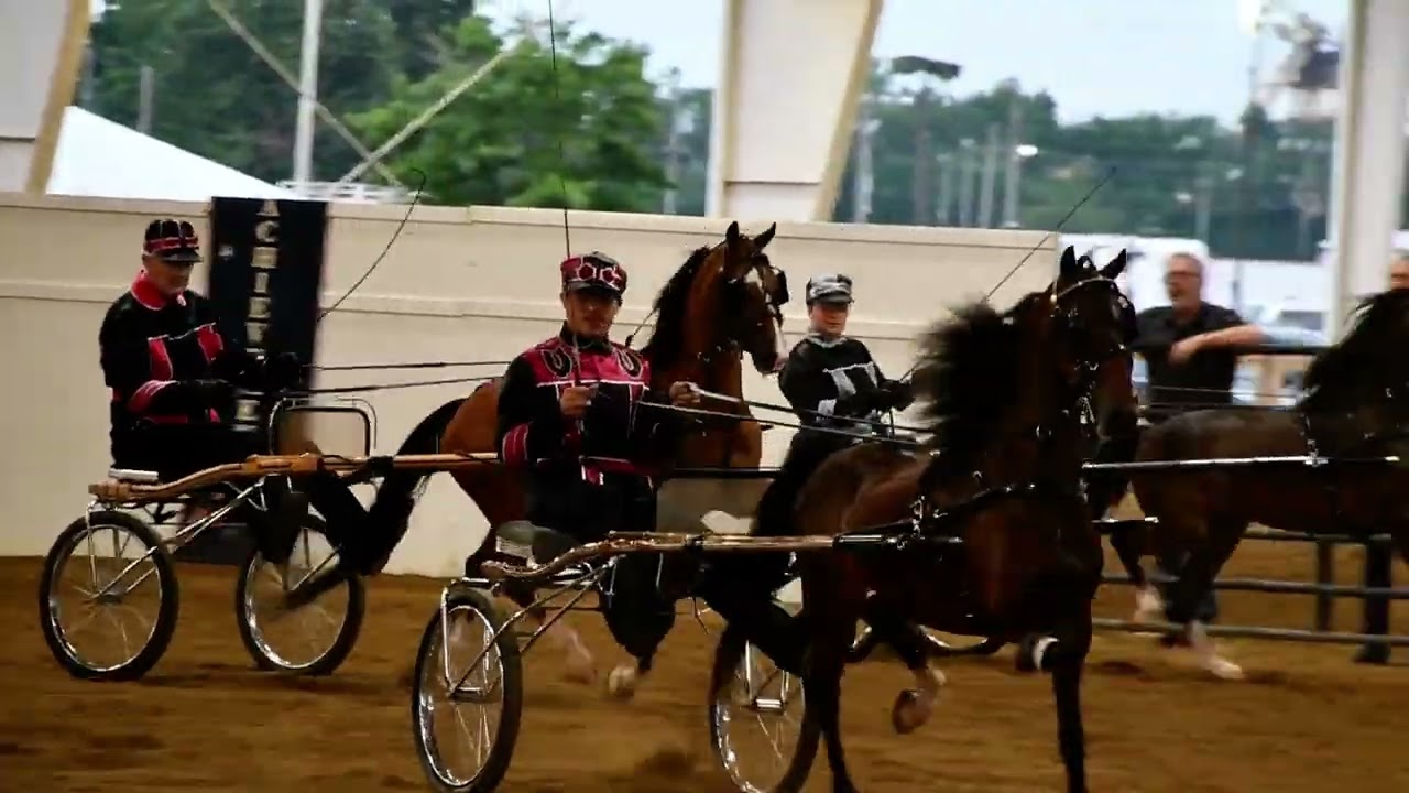 Emily in Class 58 - Hackney Road Pony, Open at Dayton Horse Show in Springfield OH on July 31,2025
