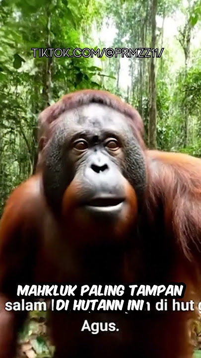 Kumpulan Video Lucu Yang Dibuat Menggunakan AI VEO3 #veo3 #ai