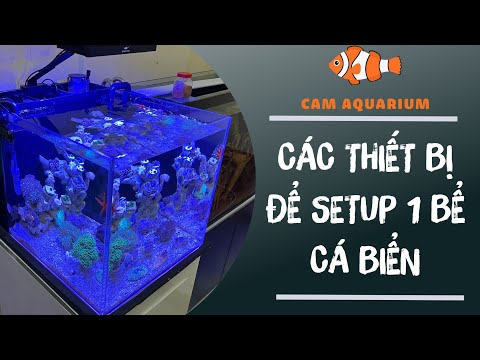 Video: Cách thiết lập bể cá nước mặn của bạn