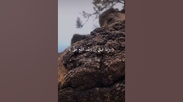 صوت شيخ من كتاب الله عز وجل من سورة الجاثيه جميل جدا
