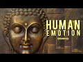 H u m a n  emotion  visualised by knowrushi   song by soundsofisha ek nazar dekha tujhe