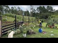 Mais um dia de trabalho no stio na construo do jardim