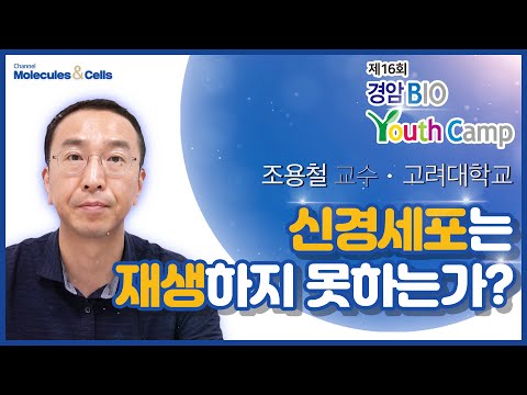 [2020 경암바이오유스캠프-신경과학 분야 2] 신경세포는 재생하지 못하는가?