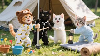 Ginger Kitten Wants to Have a Camping Party — So Mama Cat Sets Up a Garden Celebration for Her 🏕️🐾 screenshot 5