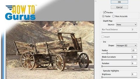How to Use the Different Blur Filters in Adobe Photoshop Elements 15 14 13 12 11 Tutorial