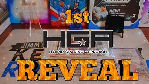 Carolina Showcase 1st HGA Submission Reveal!!!