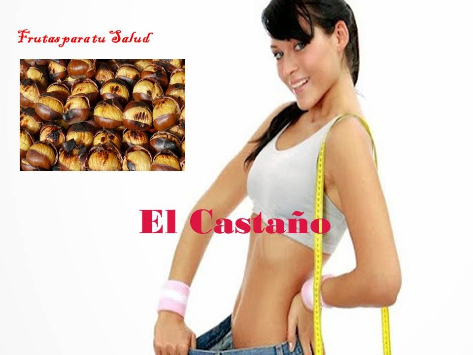 Propiedades Medicinales del Castaño para la Salud tulsi gabbard