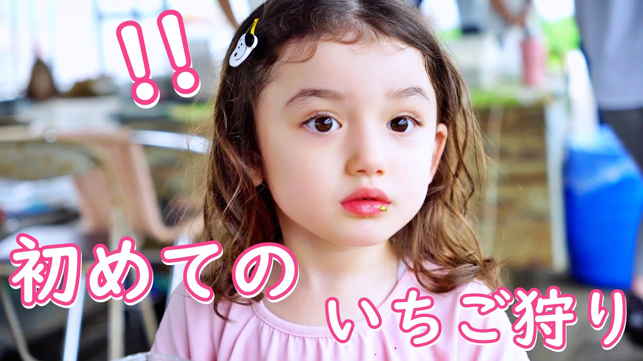 【シングルファザーの日常】娘と行くはじめてのいちご狩りに感動