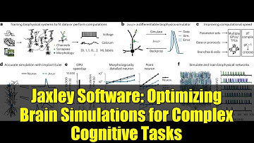 Jaxley Software: Optimizing Brain Simulations for Complex Cognitive Tasks