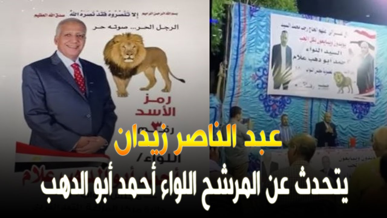 كلمات قوية من المرشح أحمد أبو الدهب بمؤتمر حاشد في دائرة المراغة