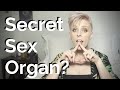 The Female Sex Organ Nobody's Talking About (Give Her Better Orgasms)