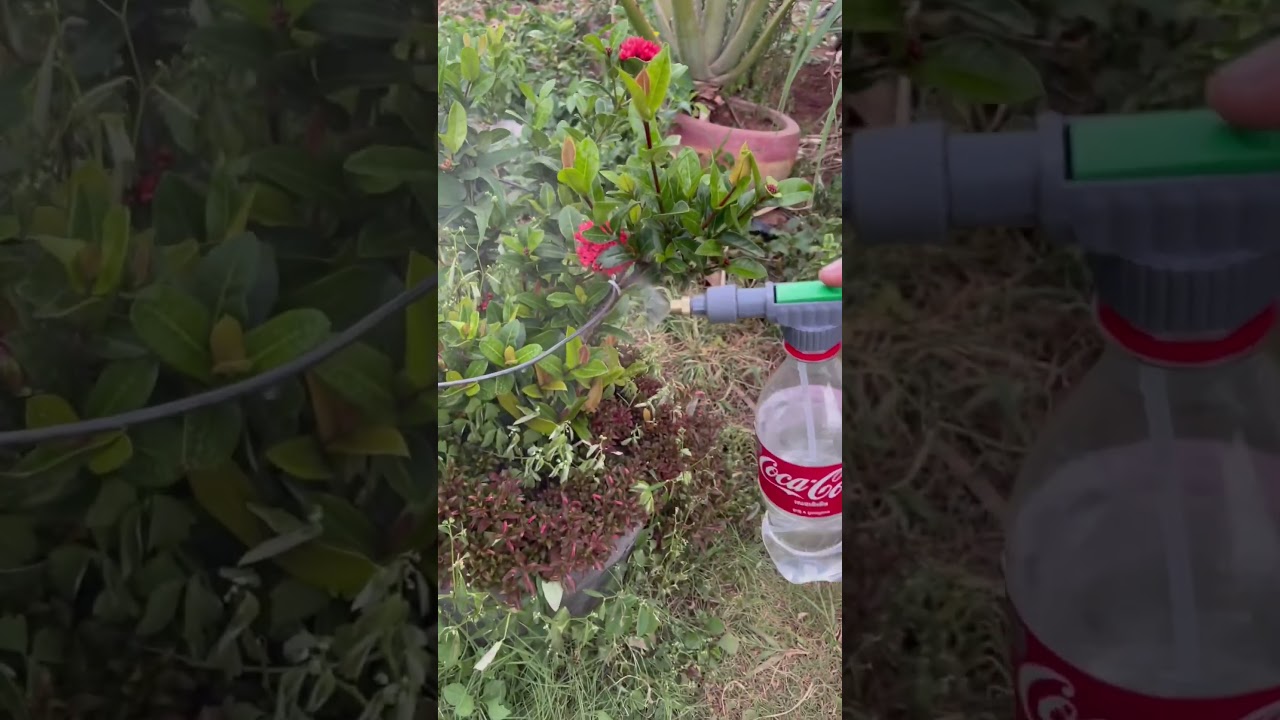 Manual garden pump sprayer nozzle handheld water bottle sprayer