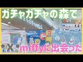 【miffy】ガチャガチャの森でミッフィーを見つけたので娘と回してみた【レポ】