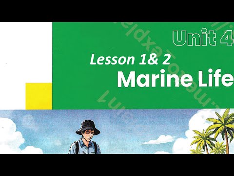 Pronunciation Of Words From Lesson 1 2 Unit 4 Jim 3 Secondary Book