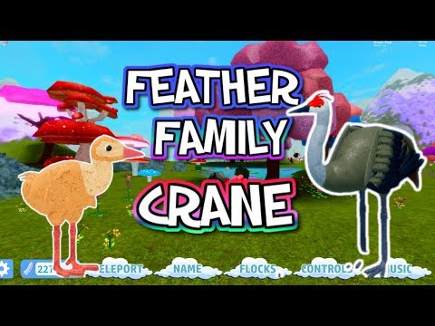 Feather Family Update Crane Roblox Youtube - roblox feather family phoenix update