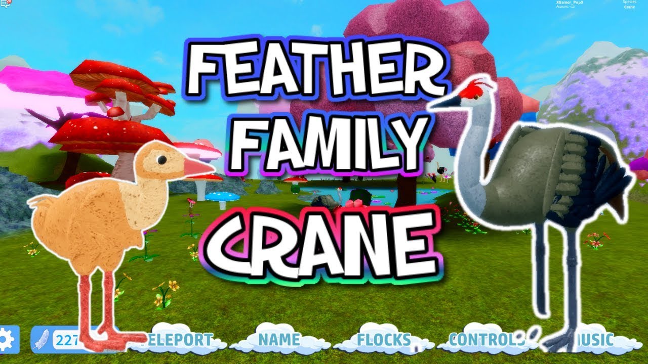 Feather Family Update Crane Roblox Youtube - ostrich feather family roblox