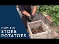 How to Store Potatoes