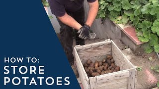 how to store potatoes