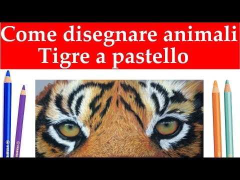 Video: Come Disegnare Una Tigre Con Una Matita