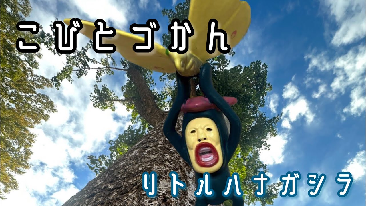 こびとづかん】リトルハナガシラと遭遇しました。体は小さいが、かなり