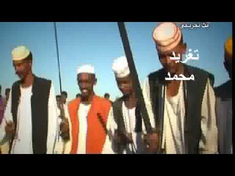 فارس الحديد تغريد حمد
