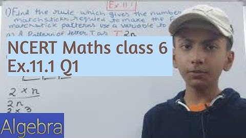 Class 6 Math Q1 Exercise 11.1 Chapter 11 Algebra | NCERT Solutions |
