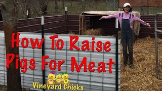 Raising Pigs For Meat 101: HowTo Make a Pig Pen Out of Pallets and Hog Panels (EP45)