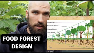 the ONLY Food Forest video you need to watch (syntropic agroforestry) / NZ