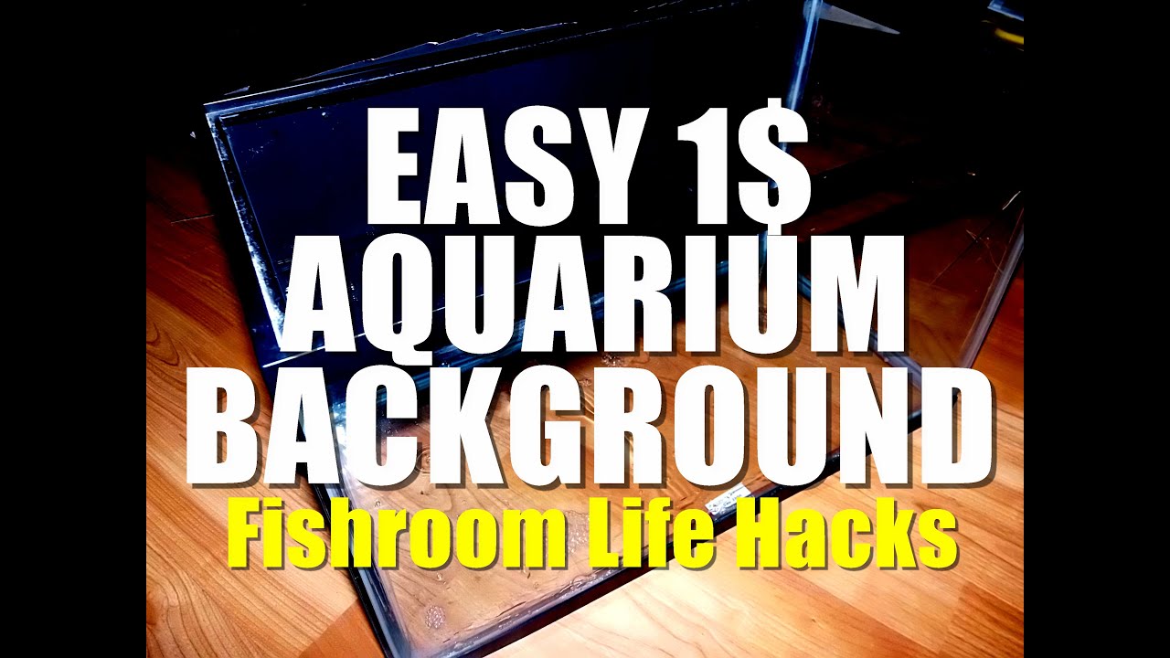 Easy 1 Diy Aquarium Background Fishroom Life Hacks Diy Aquarium Aquarium Backgrounds Background Diy Diy fish tank background paper