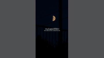 خَلَقَ الإنسان من صلصال كَالفَخَارِ | سورة الرحمن |القارئ ياسر الدوسري 🥺🎧🤍🤍🤍 #قرآن #ستوريات_دينية