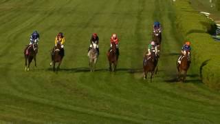 Chad Brown Sets New Saratoga Training Record