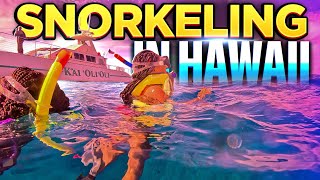 SNORKELING 🤿 IN HAWAII 🏖️