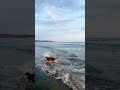 Океан #olgalyubimova #travel