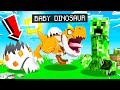 HATCHING THE STRONGEST BABY DINOSAUR IN MINECRAFT!